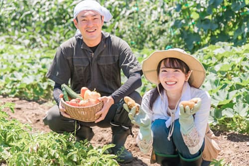 個人事業主の社会保険｜社保プラス